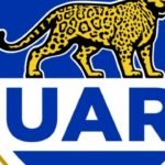Rugby: Suspenden al Puma Tomás Albornoz por 4 partidos