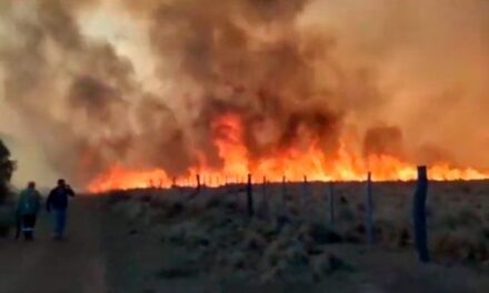 Los incendios forestales se extienden a San Luis