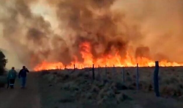 Piden declarar la emergencia por los incendios forestales que continúan