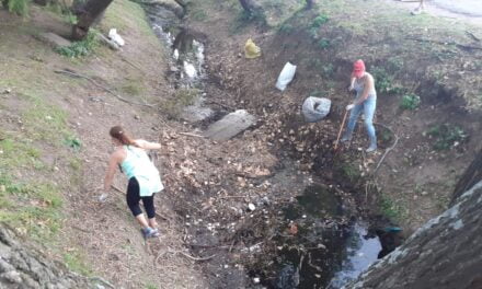 San Isidro: Jóvenes se organizan para limpiar la costa