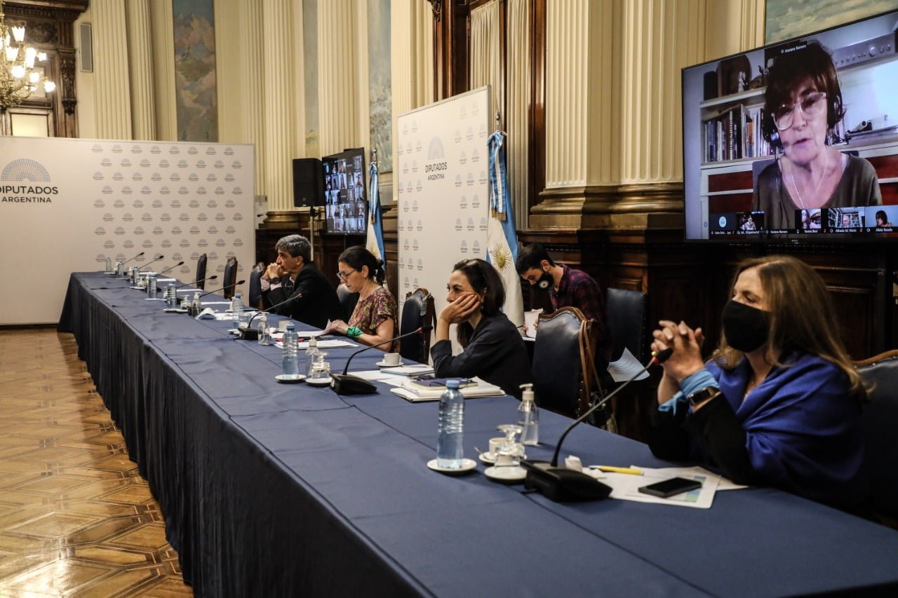Vivo: Cuarta jornada de debate por ley de aborto