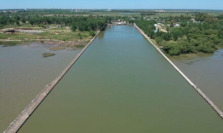 Alerta por la formación de cianobacterias en el Río de La Plata