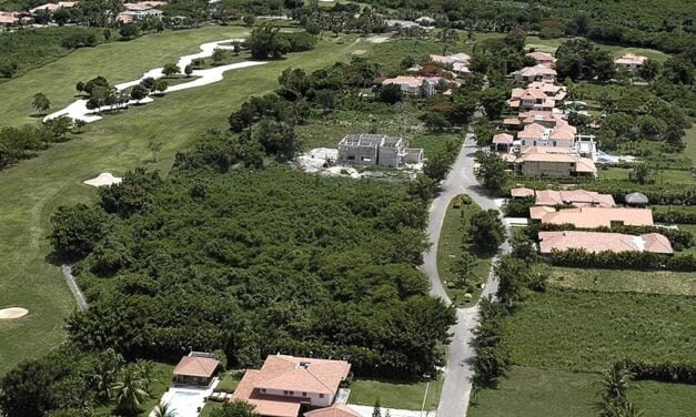 Tigre: Por posible daño ambiental la justicia frena construcción de barrio cerrado
