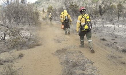 Se reavivó el incendio forestal en el sur del país