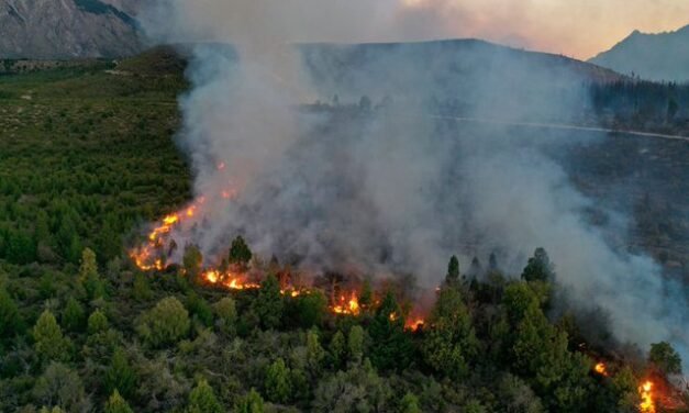 Incendios forestales en áreas protegidas de Bariloche