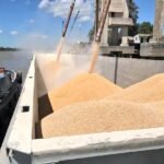 La liquidación del agro se mantiene por debajo del promedio de los últimos 5 años