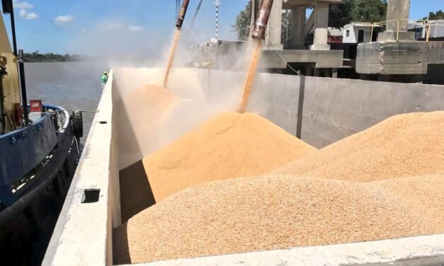 La liquidación del agro se mantiene por debajo del promedio de los últimos 5 años