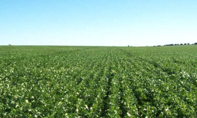 Se mantiene el esquema de pagos del impuesto rural bonaerense