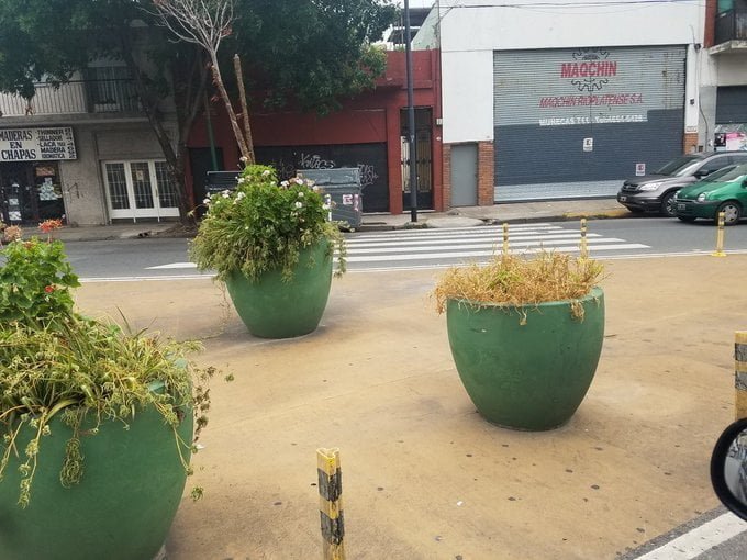 La ciudad gastó 6,5 millones de pesos en maceteros