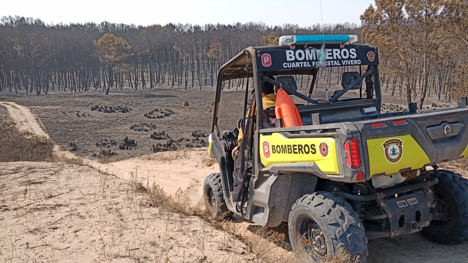 Un incendio devoró 240 hectáreas del vivero de Miramar