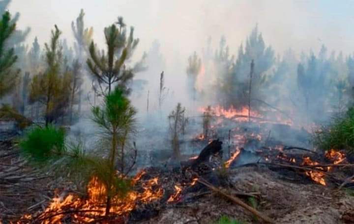 Corrientes bajo fuego que devora miles de hectáreas cada día