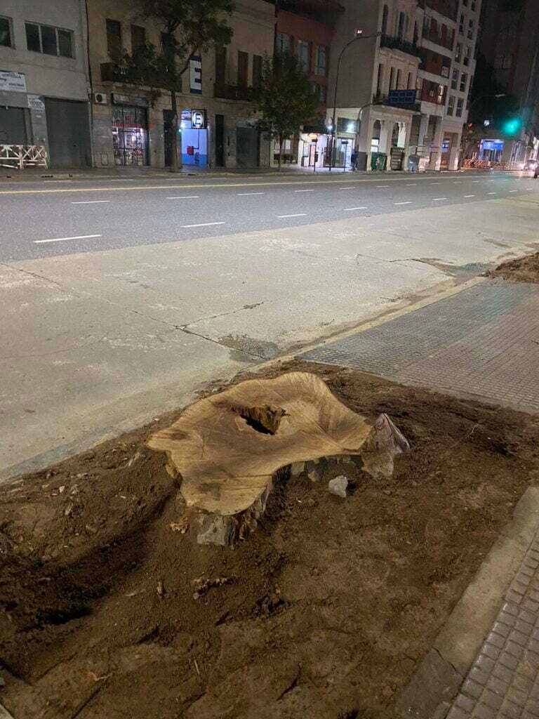 Protesta vecinal en el bajo porteño por tala de árboles ‣ Causa Pendiente