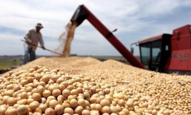 Baja de retenciones a exportaciones de soja y otros granos