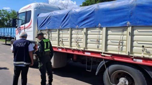Incautan 120 toneladas de maíz y soja