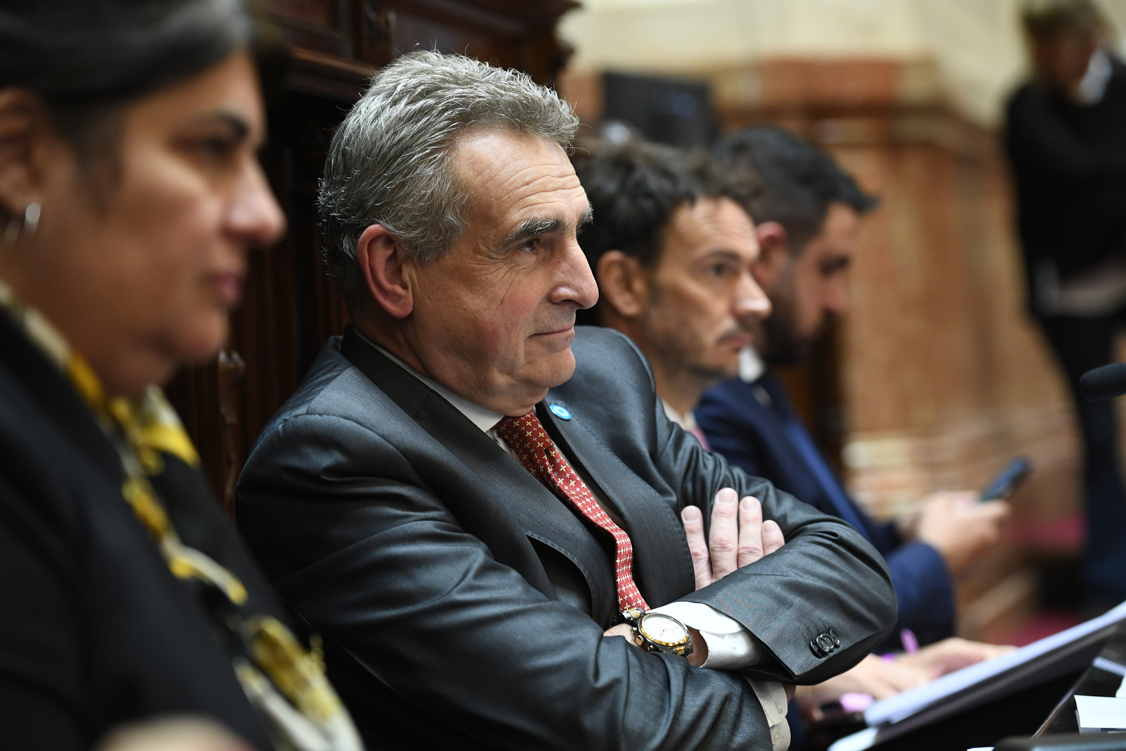 Agustín Rossi expuso cinco horas en el senado
