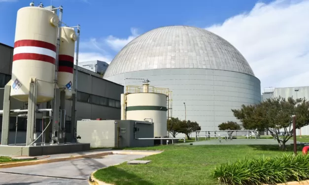 Privatización: Denuncian maniobras turbias en la valuación de las centrales nucleares