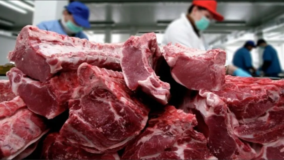 Caen las exportaciones de carne bovina