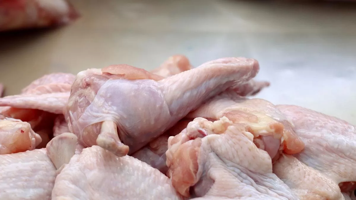 Argentina vuelve a exportar carne aviar a Europa